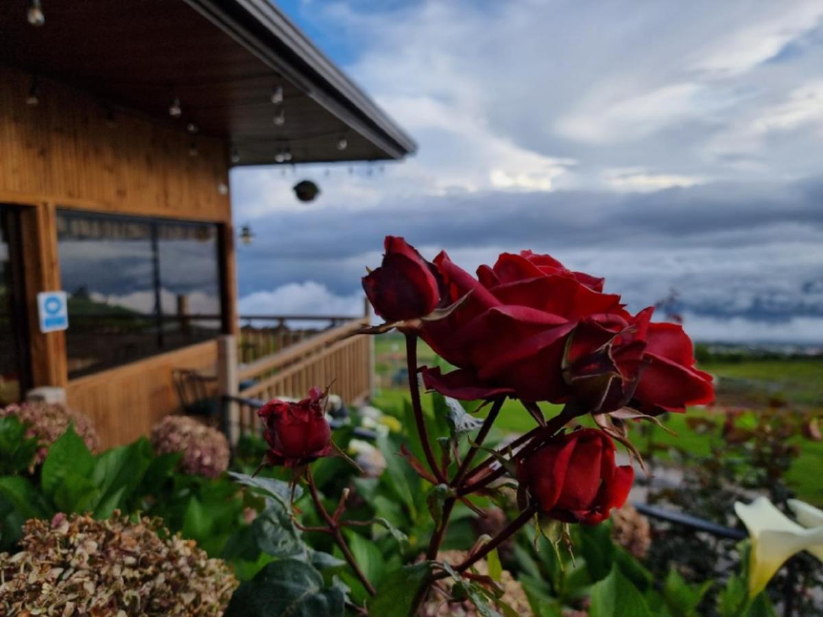 Hotel Cabanas Y Mirador Secret Garden Cr Cartago Dış mekan fotoğraf
