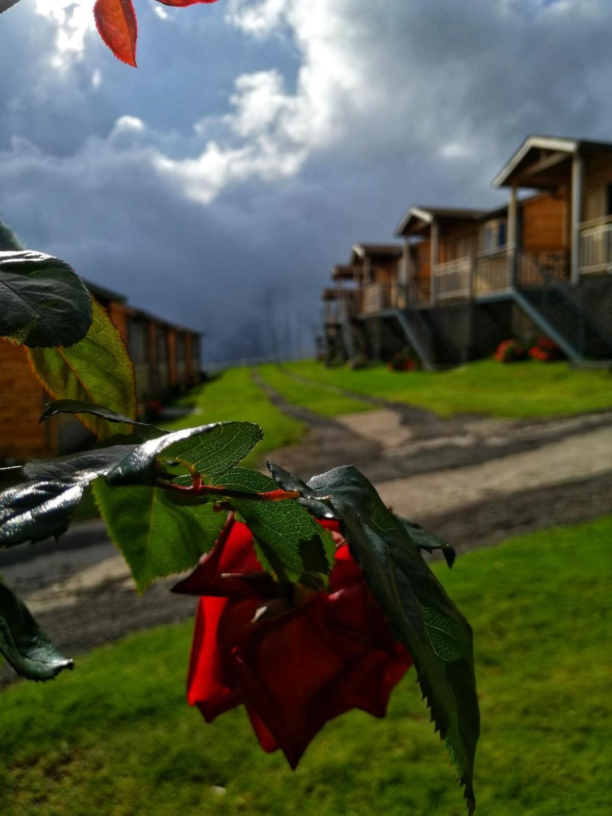 Hotel Cabanas Y Mirador Secret Garden Cr Cartago Dış mekan fotoğraf