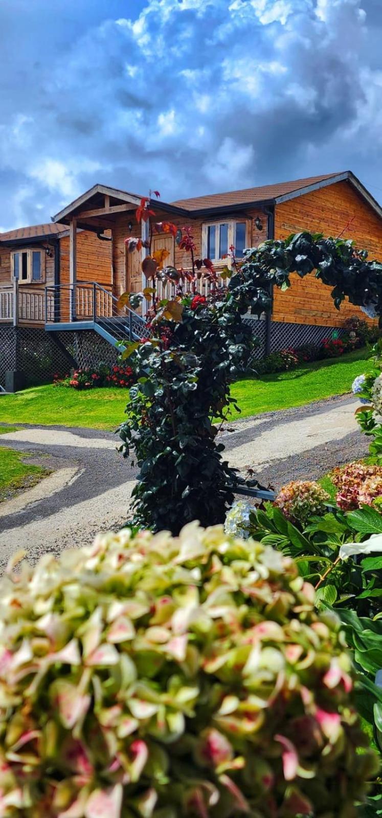Hotel Cabanas Y Mirador Secret Garden Cr Cartago Dış mekan fotoğraf