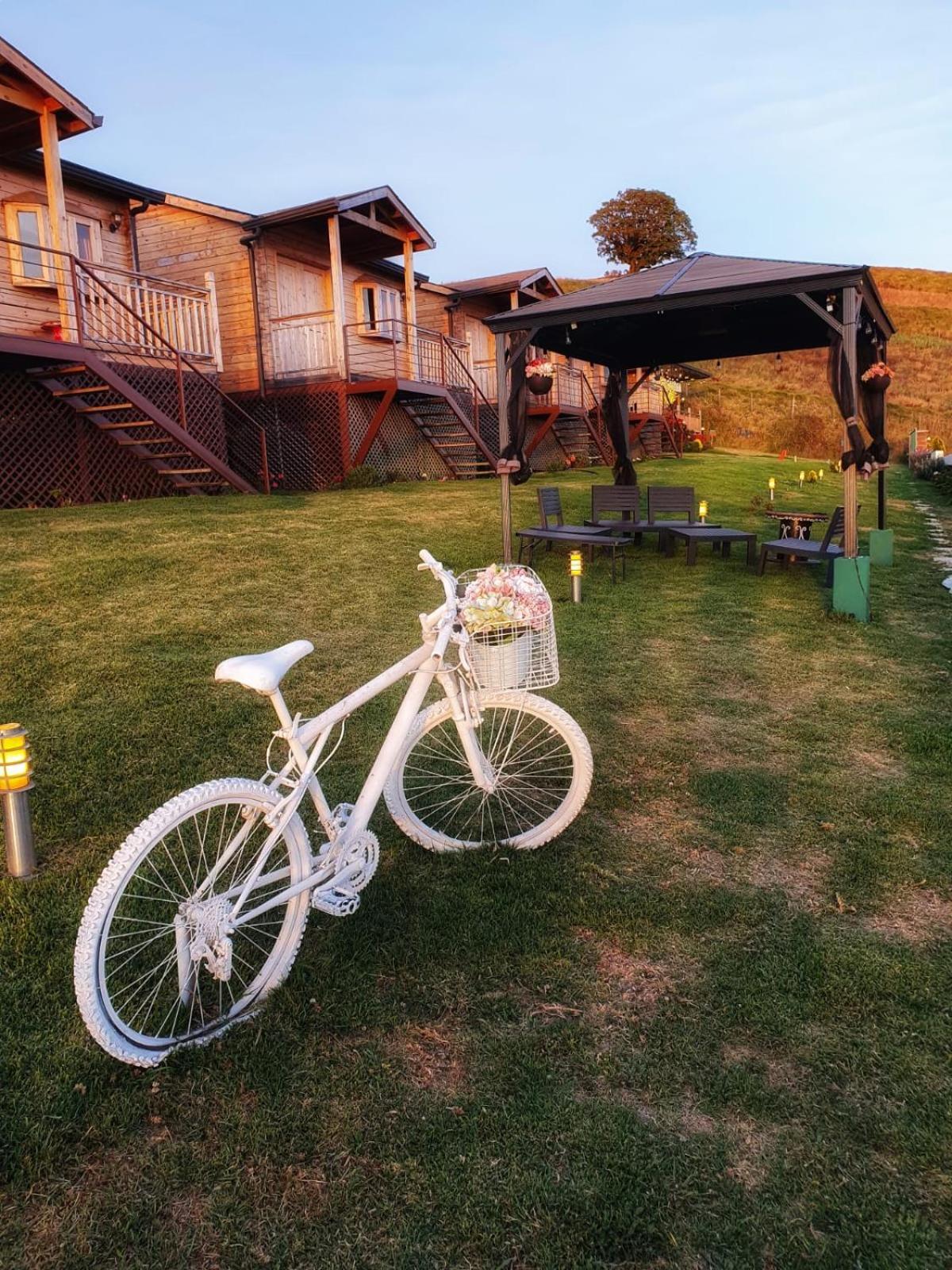 Hotel Cabanas Y Mirador Secret Garden Cr Cartago Dış mekan fotoğraf